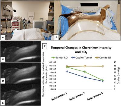 Emerging Translational Opportunities in <mark class="highlighted">Comparative Oncology</mark> With Companion Canine Cancers: Radiation Oncology